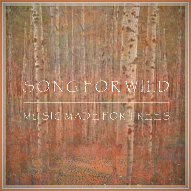 Song for Wild Turned a Haringey Living Room Into Music Made for Trees, First of a Two-Year Album Cycle